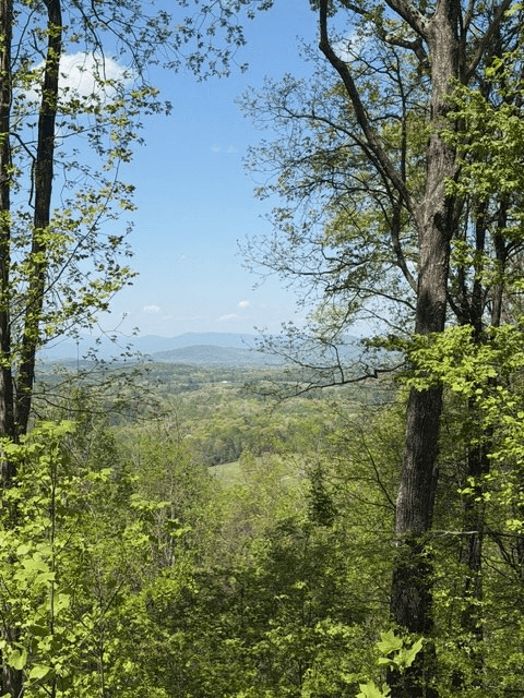 Lot 189 Hawks Nest Court, Ellijay GA 30536 - Photo