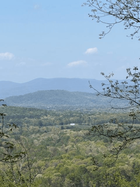 Lot 189 Hawks Nest Court, Ellijay GA 30536 - Primary photo