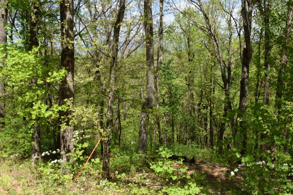 Lot 189 Hawks Nest Court, Ellijay GA 30536 - Photo