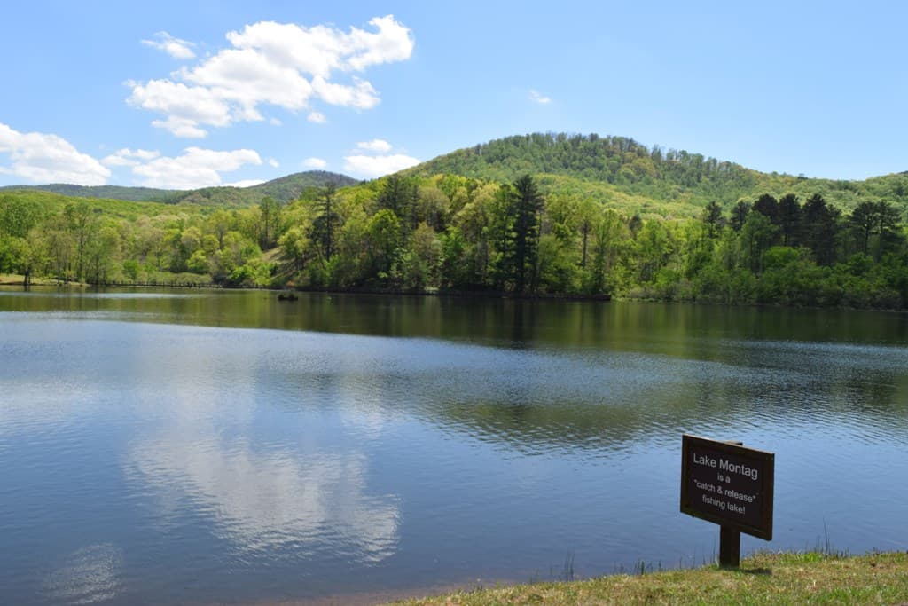 Lot 189 Hawks Nest Court, Ellijay GA 30536 - Photo