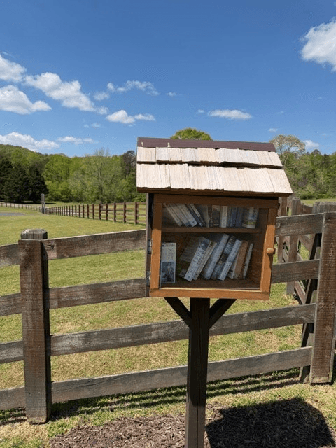 Lot 189 Hawks Nest Court, Ellijay GA 30536 - Photo