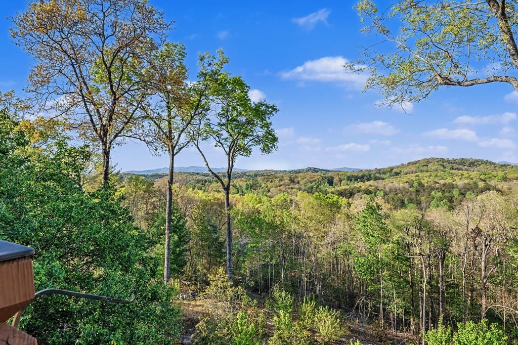431 Sunrock Mountain Road, Blue Ridge GA 30513 - Photo