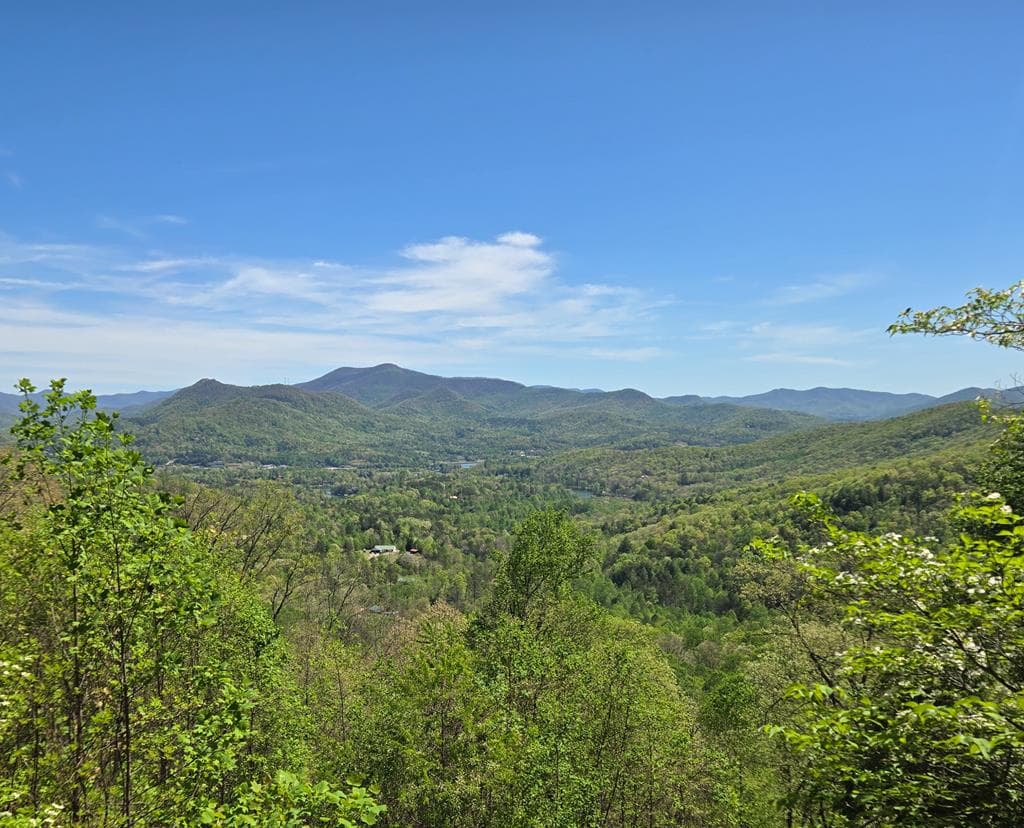 1689 Long Ridge Road, Hiawassee GA 30546 - Photo