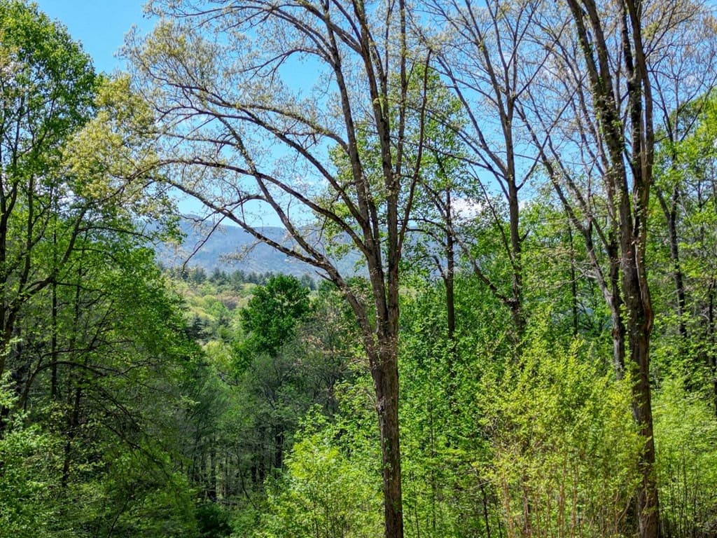 370 Taylor Way, Hiawassee GA 30546 - Photo