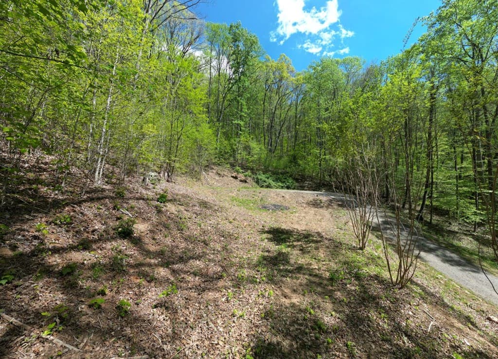 370 Taylor Way, Hiawassee GA 30546 - Photo