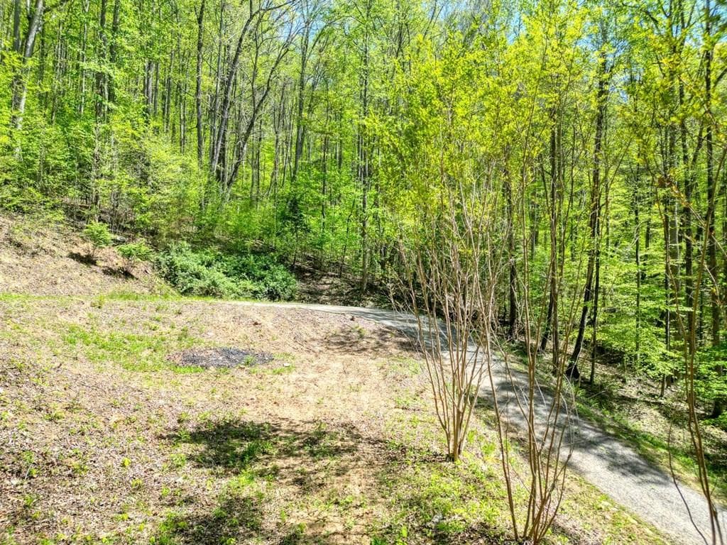 370 Taylor Way, Hiawassee GA 30546 - Primary photo