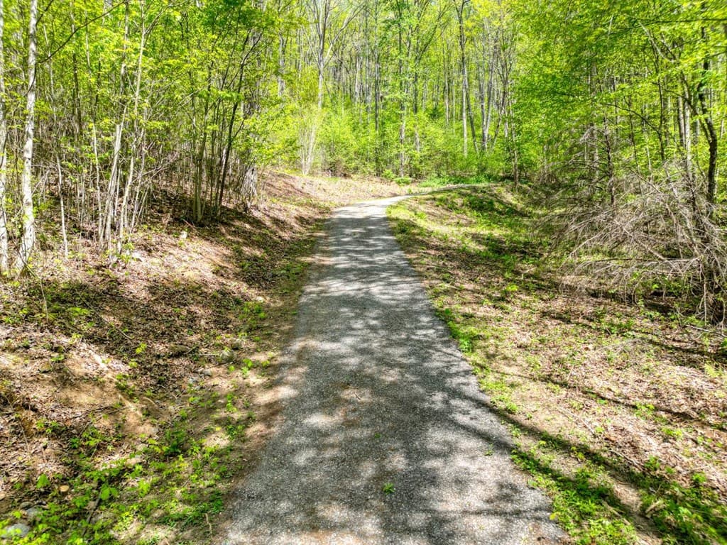 370 Taylor Way, Hiawassee GA 30546 - Photo