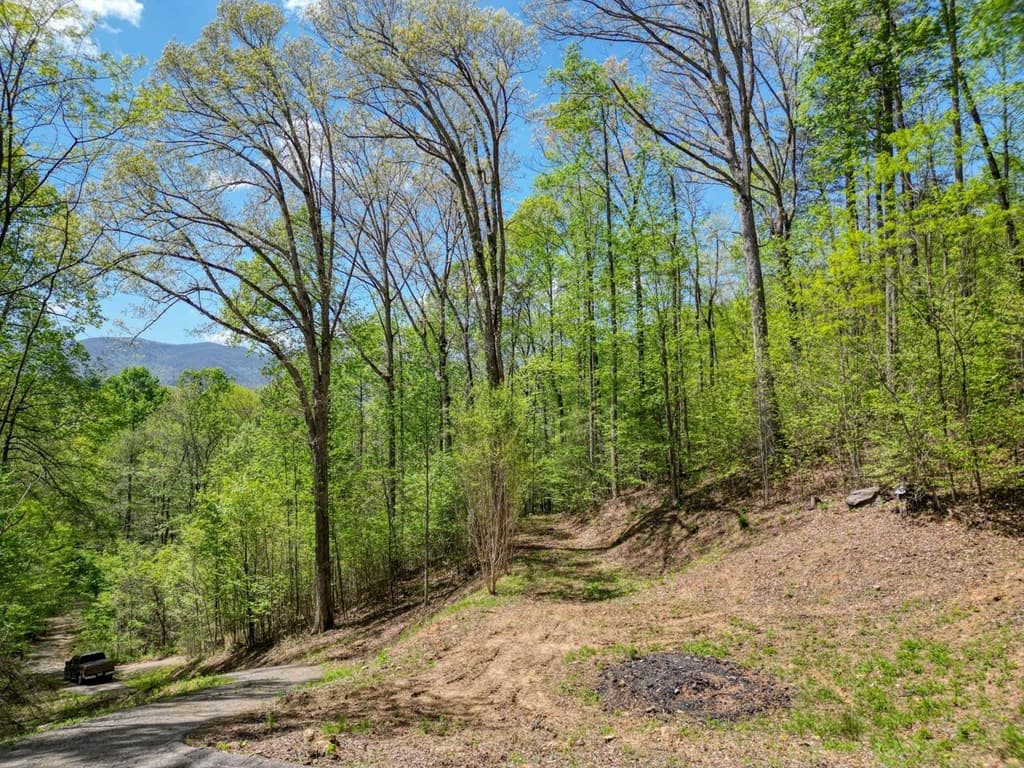 370 Taylor Way, Hiawassee GA 30546 - Photo
