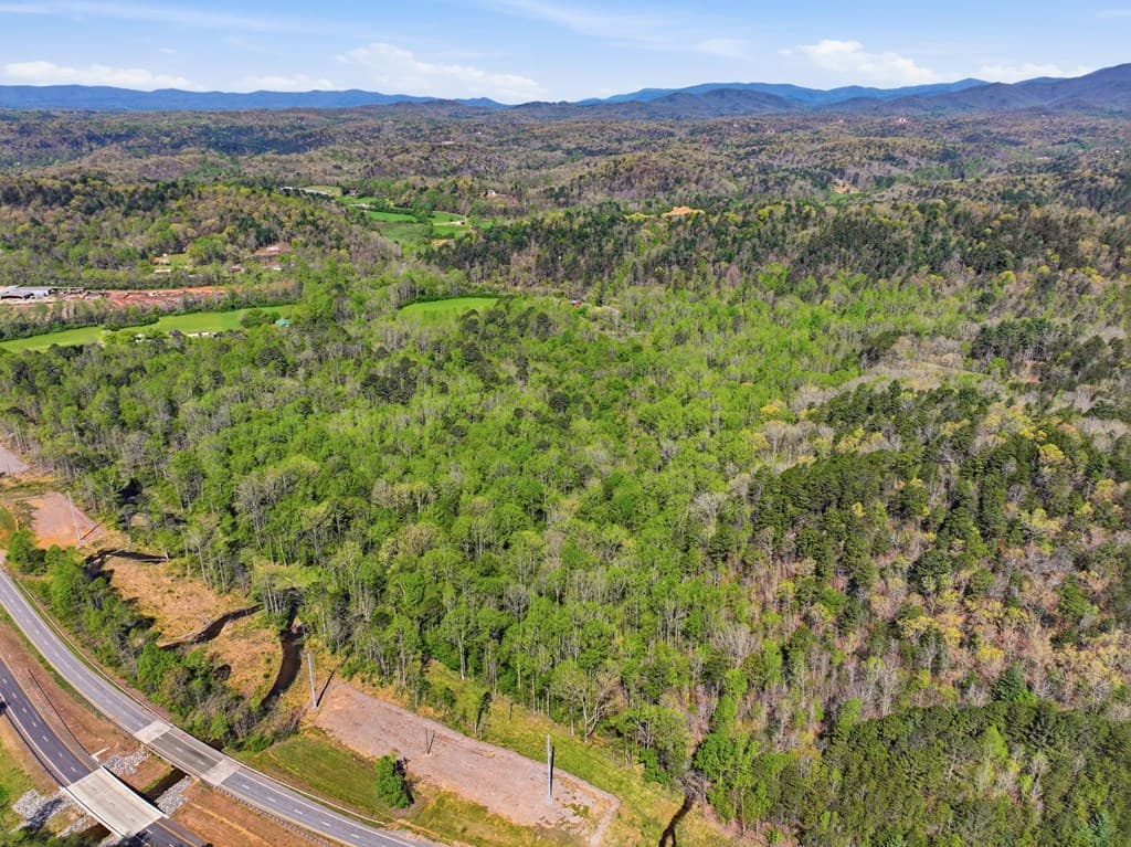 123AC Northcutt Rd/Hwy 515, Ellijay GA 30540 - Photo