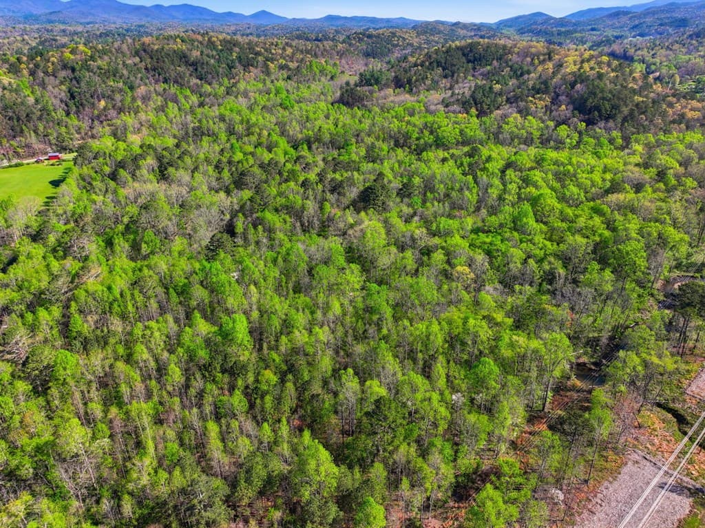 123AC Northcutt Rd/Hwy 515, Ellijay GA 30540 - Photo