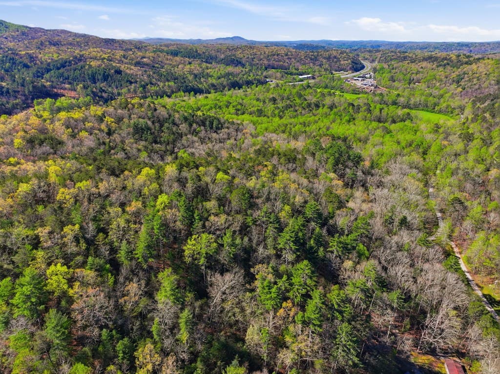 123AC Northcutt Rd/Hwy 515, Ellijay GA 30540 - Photo