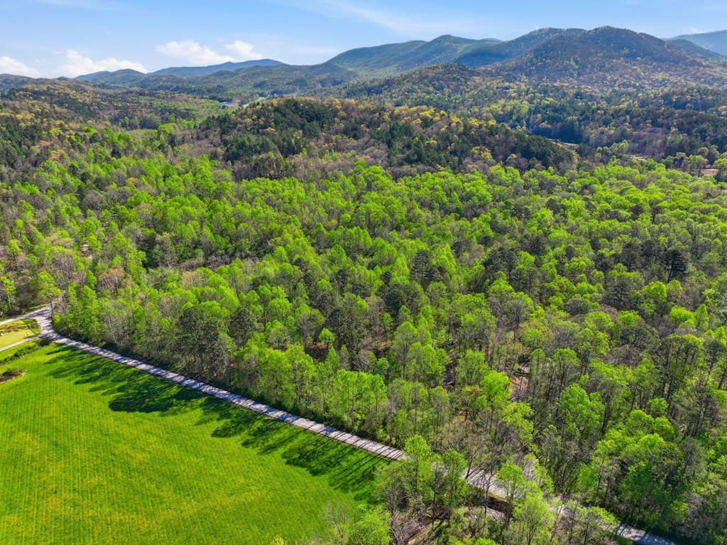 123AC Northcutt Rd/Hwy 515, Ellijay GA 30540 - Photo