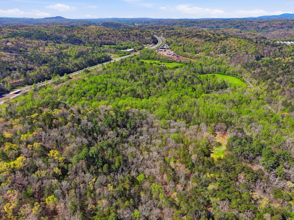 123AC Northcutt Rd/Hwy 515, Ellijay GA 30540 - Photo