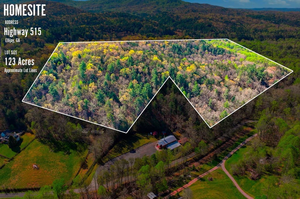 123AC Northcutt Rd/Hwy 515, Ellijay GA 30540 - Photo