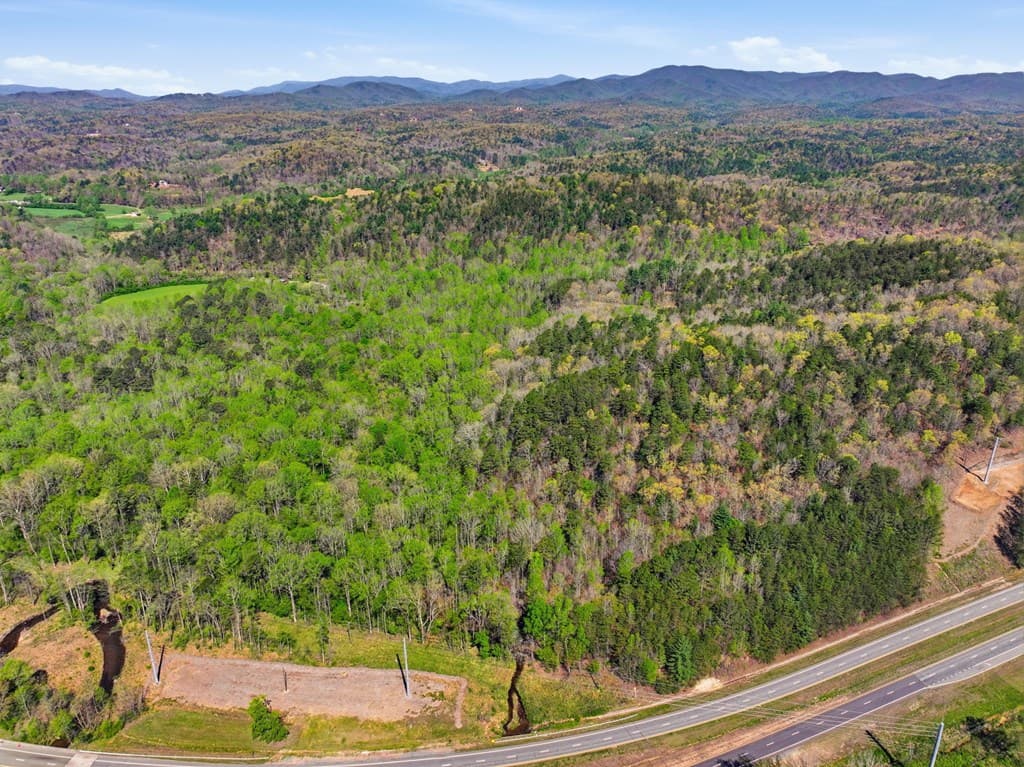 123AC Northcutt Rd/Hwy 515, Ellijay GA 30540 - Photo