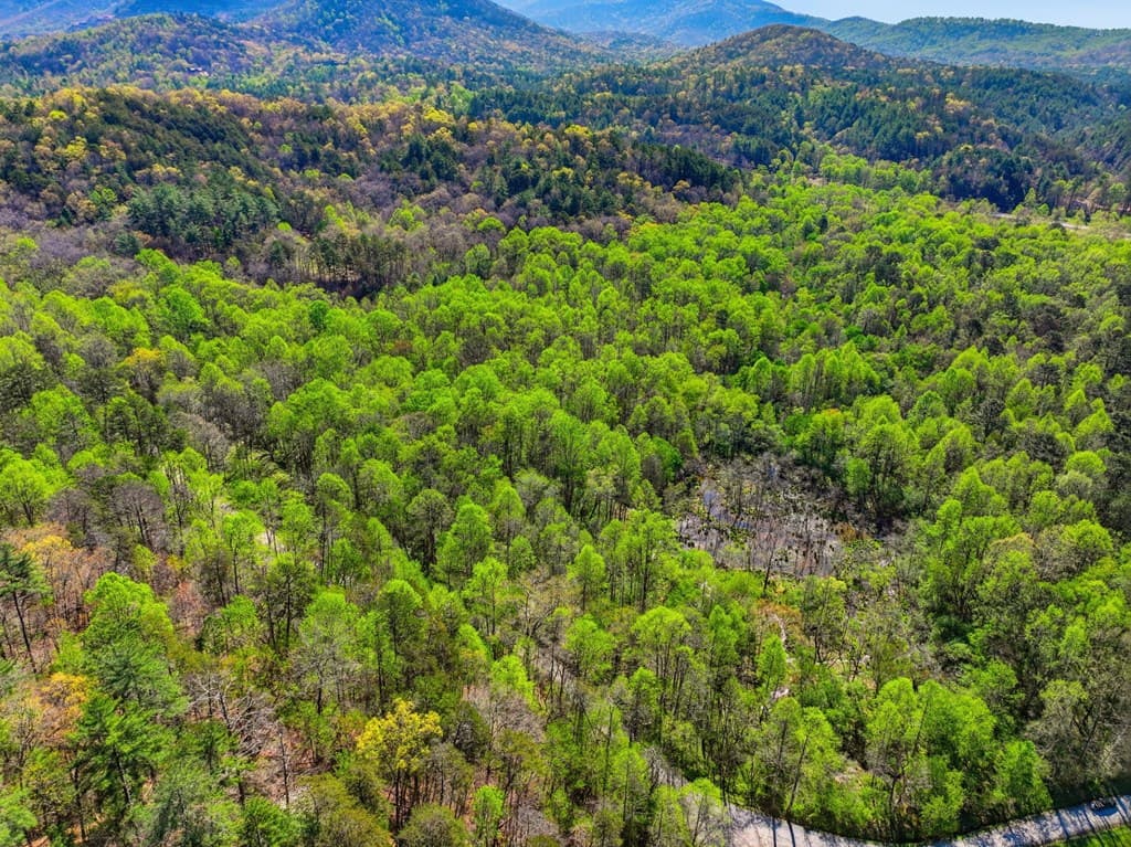 123AC Northcutt Rd/Hwy 515, Ellijay GA 30540 - Photo