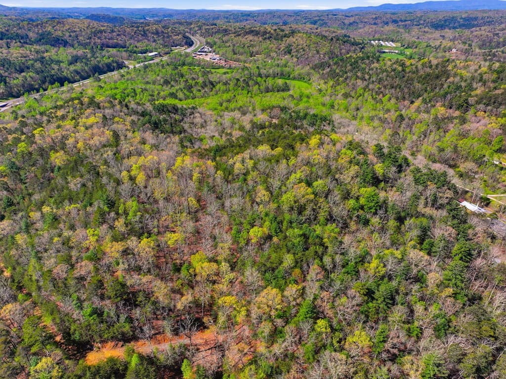 123AC Northcutt Rd/Hwy 515, Ellijay GA 30540 - Photo