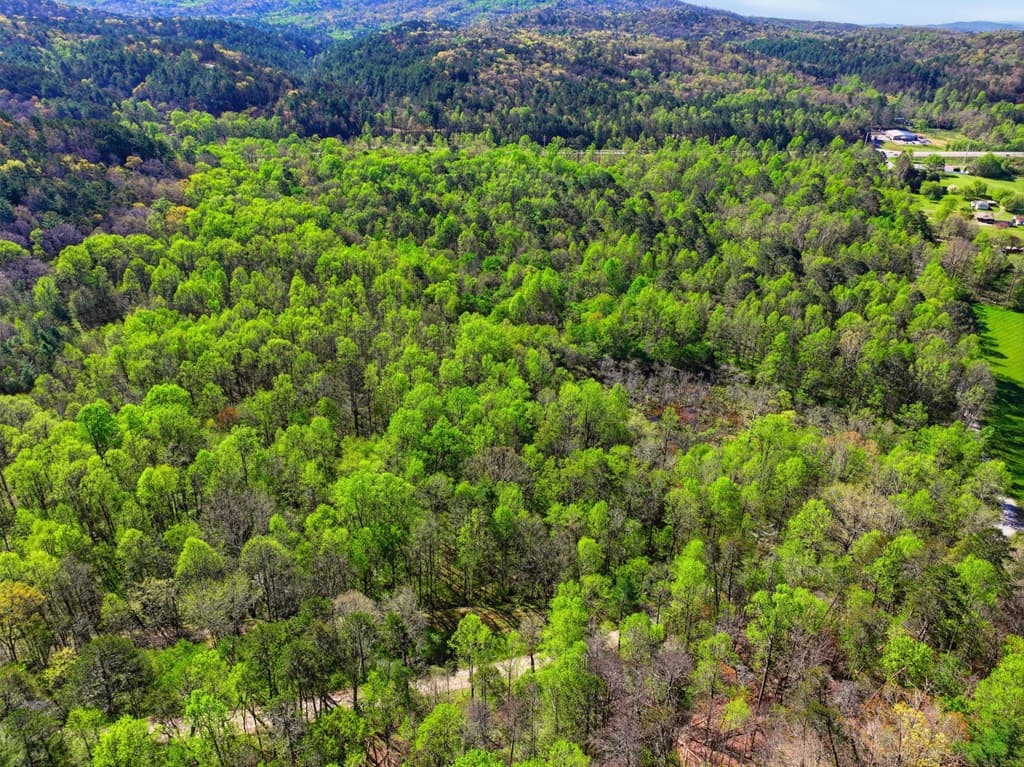 123AC Northcutt Rd/Hwy 515, Ellijay GA 30540 - Photo