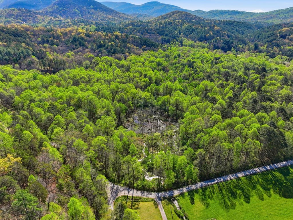 123AC Northcutt Rd/Hwy 515, Ellijay GA 30540 - Photo