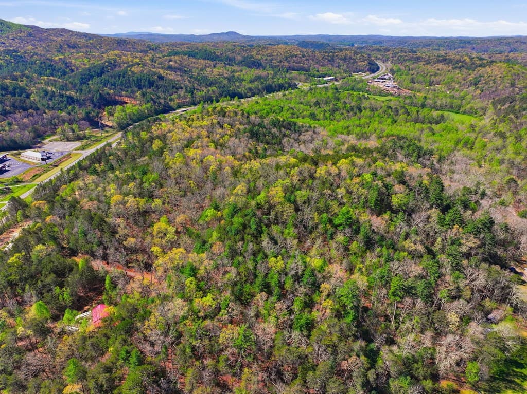 123AC Northcutt Rd/Hwy 515, Ellijay GA 30540 - Photo