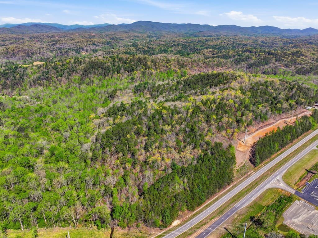 123AC Northcutt Rd/Hwy 515, Ellijay GA 30540 - Photo