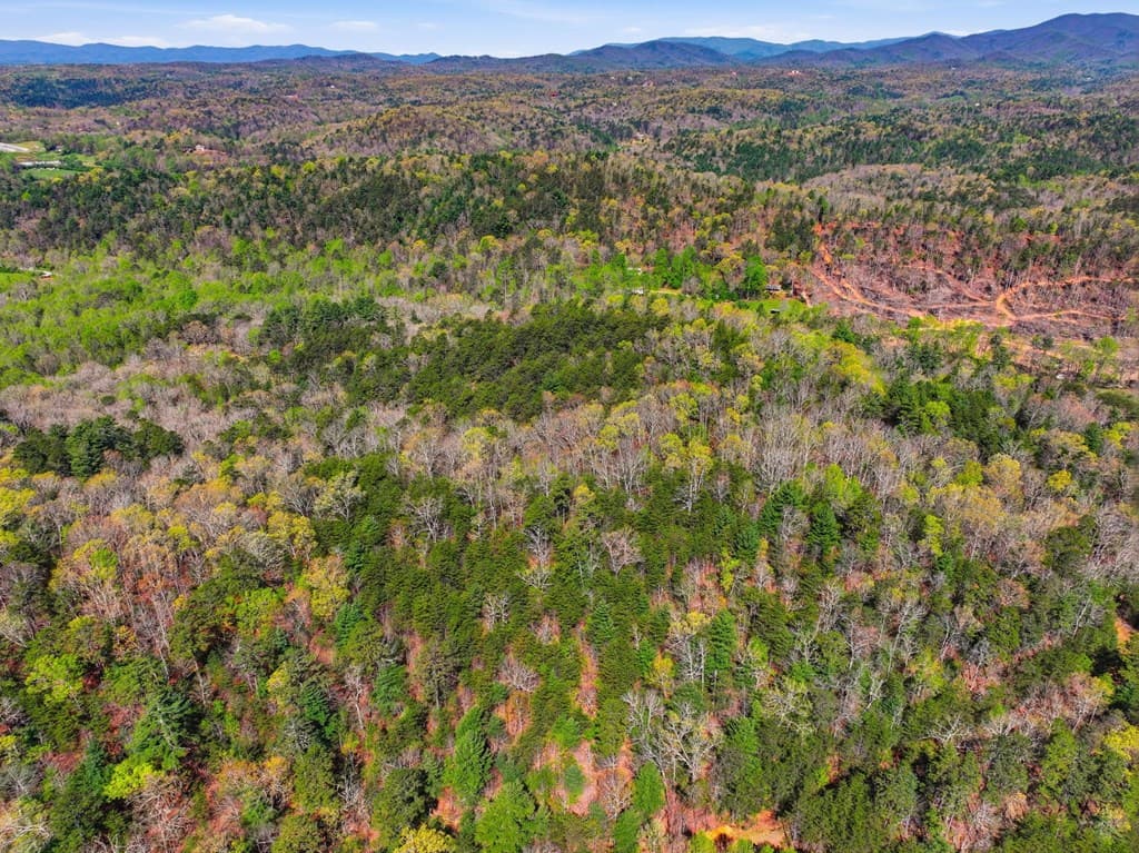 123AC Northcutt Rd/Hwy 515, Ellijay GA 30540 - Photo