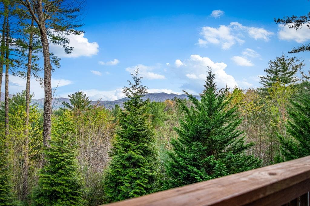 337 Big Sky Trail, Epworth GA 30541 - Photo