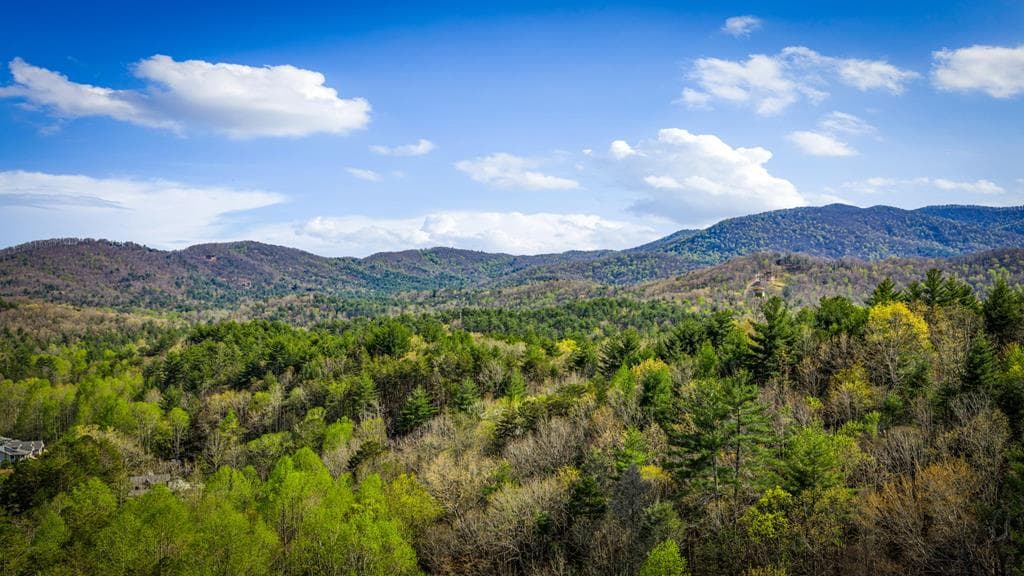 337 Big Sky Trail, Epworth GA 30541 - Photo