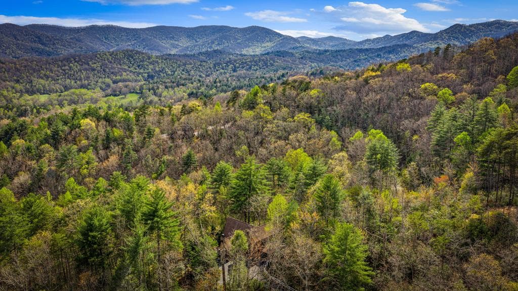 337 Big Sky Trail, Epworth GA 30541 - Photo