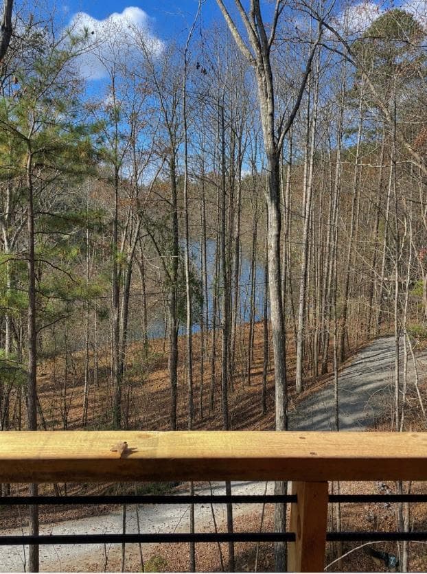 245 Moonstone Drive, Ellijay GA 30540 - Photo
