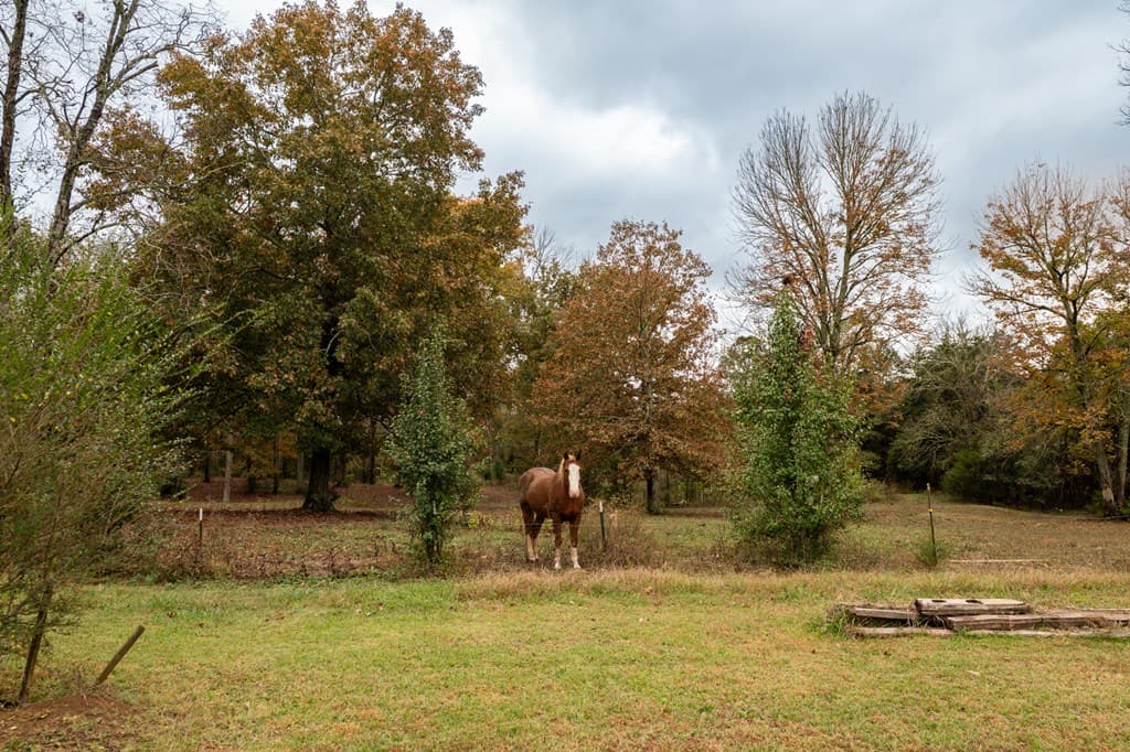253 Halls Mill Rd, Chickamauga GA 30707 - Photo