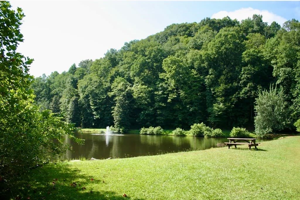 282 Armor Way N, Ellijay GA 30540 - Photo