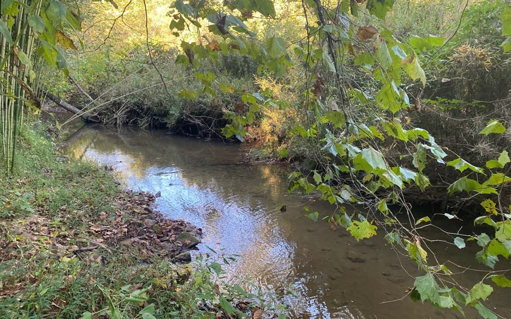 Lt3646-R Fern Drive, Ellijay GA 30540 - Photo