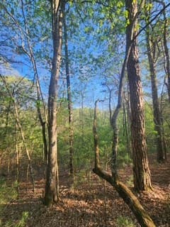 Lt3646-R Fern Drive, Ellijay GA 30540 - Photo