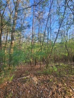Lt3646-R Fern Drive, Ellijay GA 30540 - Photo