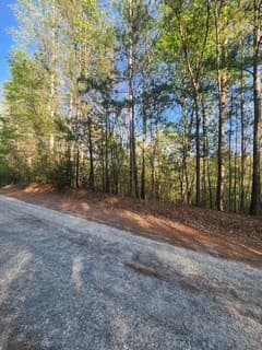 Lt3646-R Fern Drive, Ellijay GA 30540 - Photo