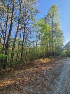 Lt3646-R Fern Drive, Ellijay GA 30540 - Primary photo