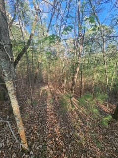 Lt3646-R Fern Drive, Ellijay GA 30540 - Photo