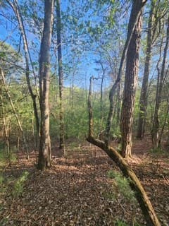 Lt3646-R Fern Drive, Ellijay GA 30540 - Photo