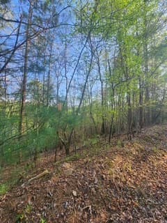 Lt3646-R Fern Drive, Ellijay GA 30540 - Photo
