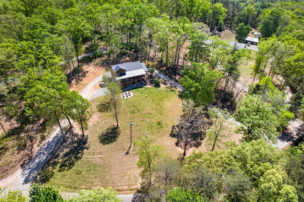 385 Shields Road, Mineral Bluff GA 30559 - Photo