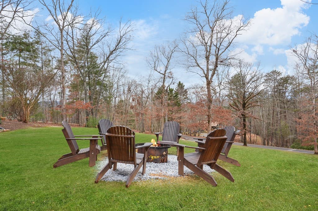 385 Shields Road, Mineral Bluff GA 30559 - Photo