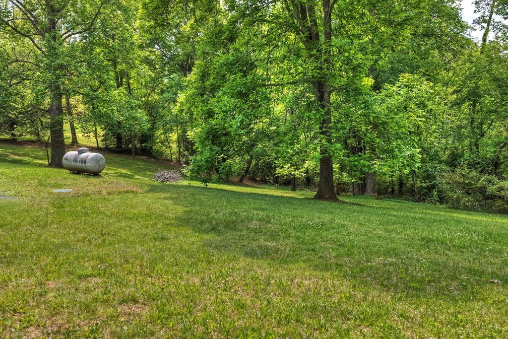 380 Lavista Drive, Blue Ridge GA 30513 - Photo
