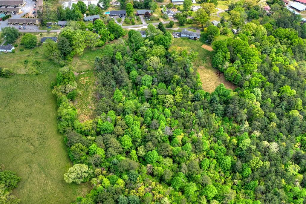 380 Lavista Drive, Blue Ridge GA 30513 - Photo