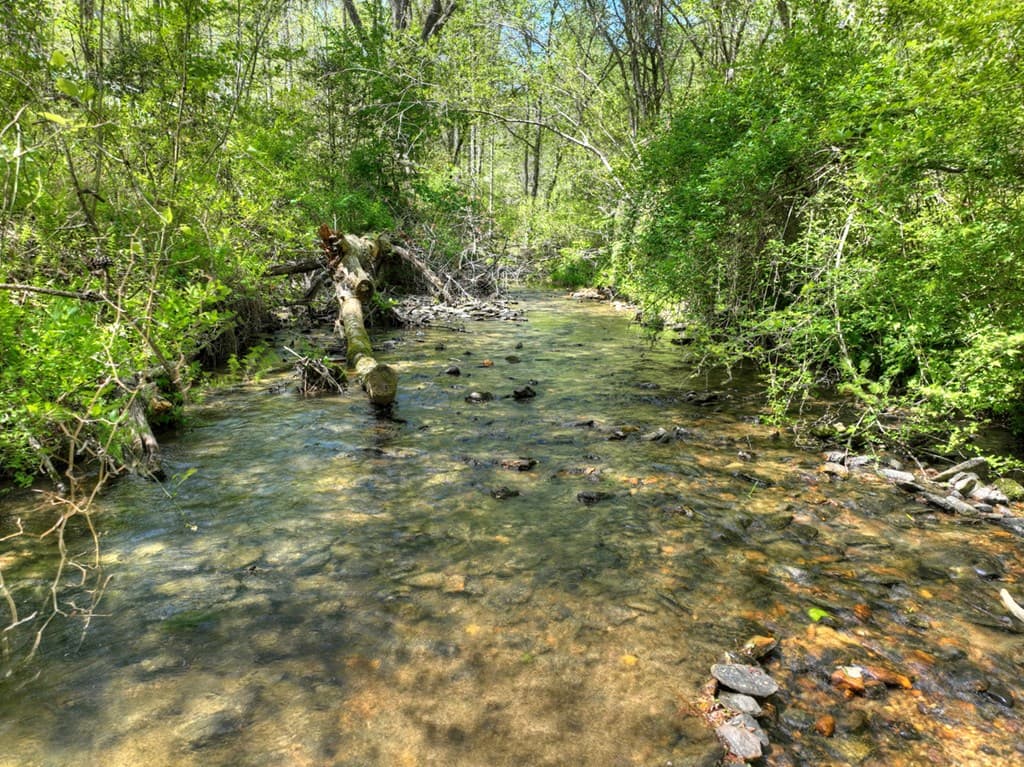 76 E Bevan Lane, Blue Ridge GA 30513 - Photo