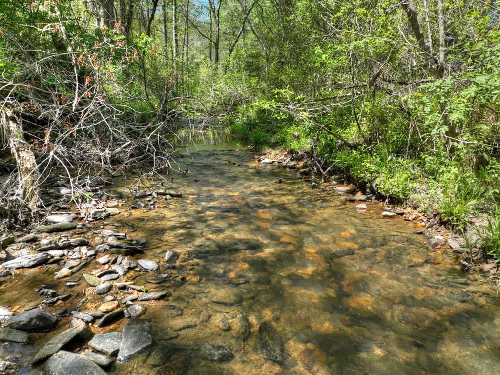 76 E Bevan Lane, Blue Ridge GA 30513 - Photo