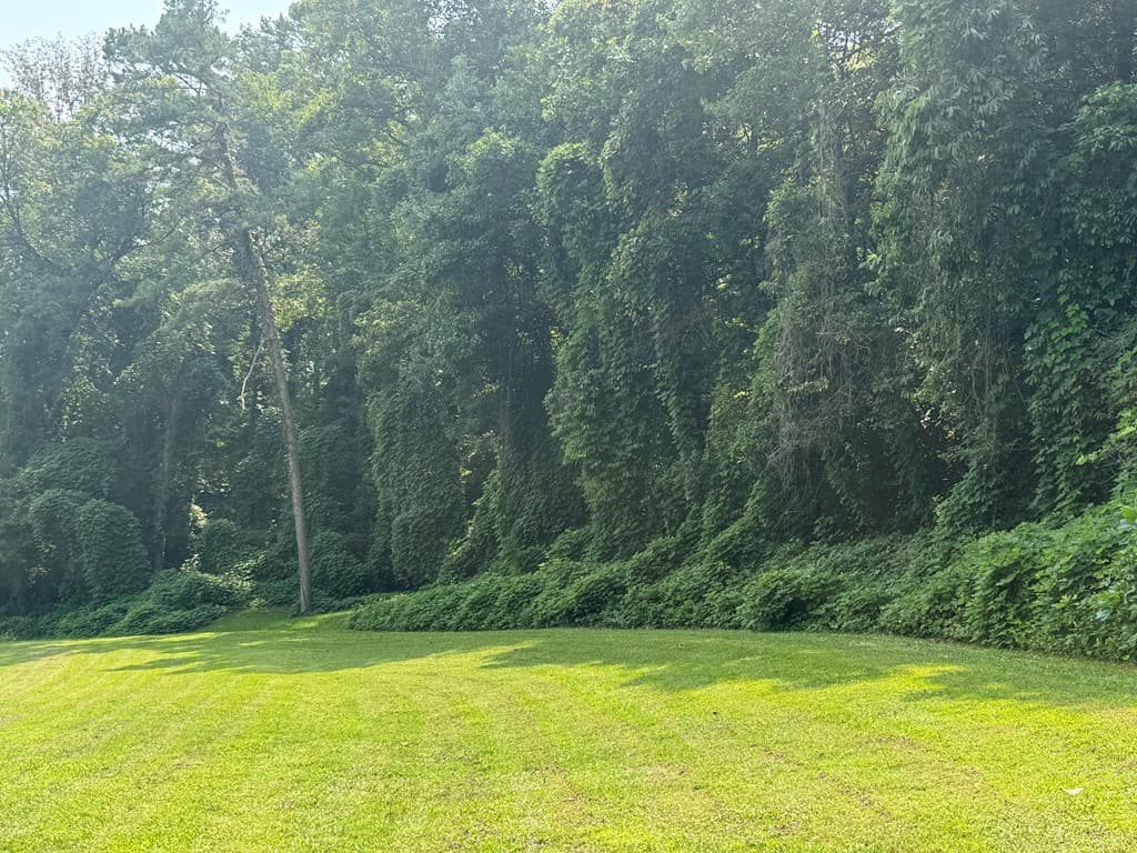 81 Doxol Street, Blue Ridge GA 30513 - Photo