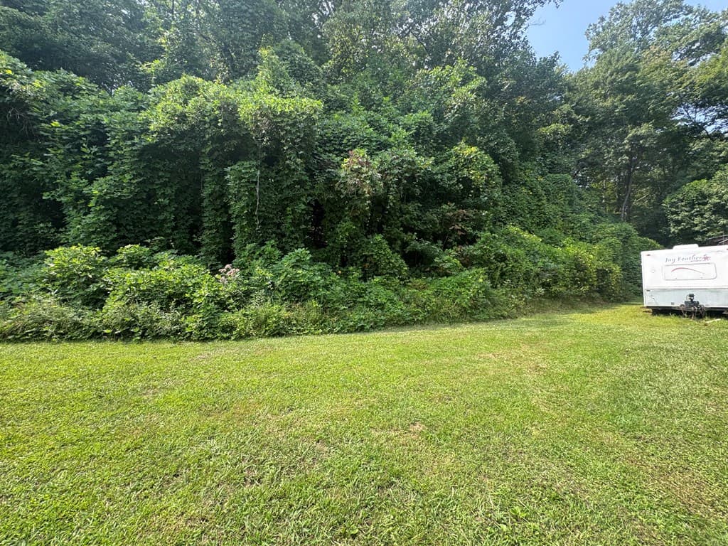 81 Doxol Street, Blue Ridge GA 30513 - Photo