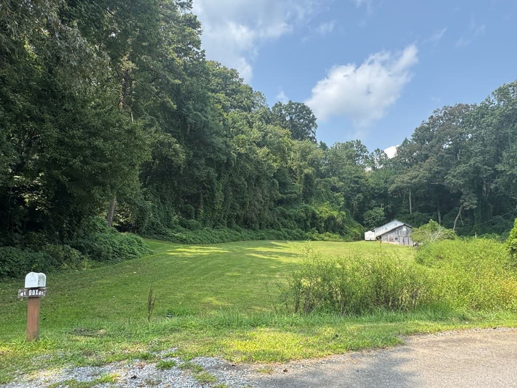81 Doxol Street, Blue Ridge GA 30513 - Photo