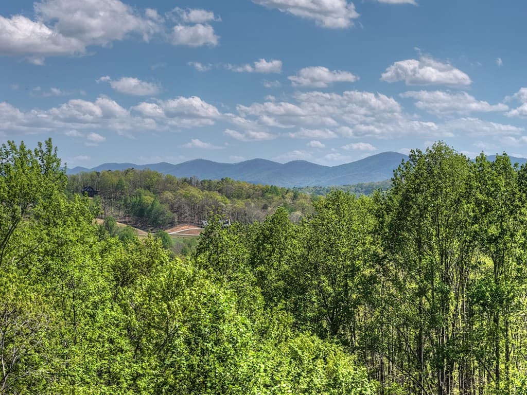 315 Blue Berry Ridge, Morganton GA 30560 - Photo
